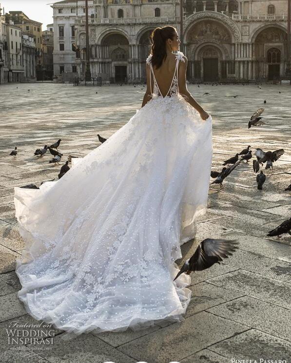 Feather Wedding Dresses Bridal Gowns Lace Appliqued V Neck Backless Beach Wedding Dress With Detachable Train Country Bridal Gowns Custom