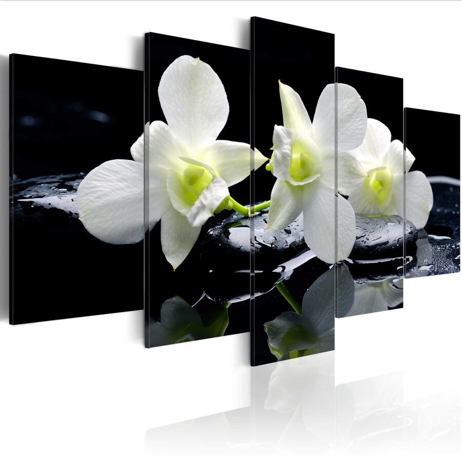 Canvas Print Modern Abstract Floral Flower Orchid Painting Home Decoration, Choose Color & Size( No Frame )
