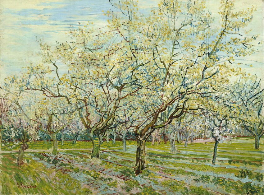 

Vincent Van Gogh The white orchard Wall Art Home Decor Handpainted &HD Print Oil Painting On Canvas Wall Art Canvas Pictures 190917