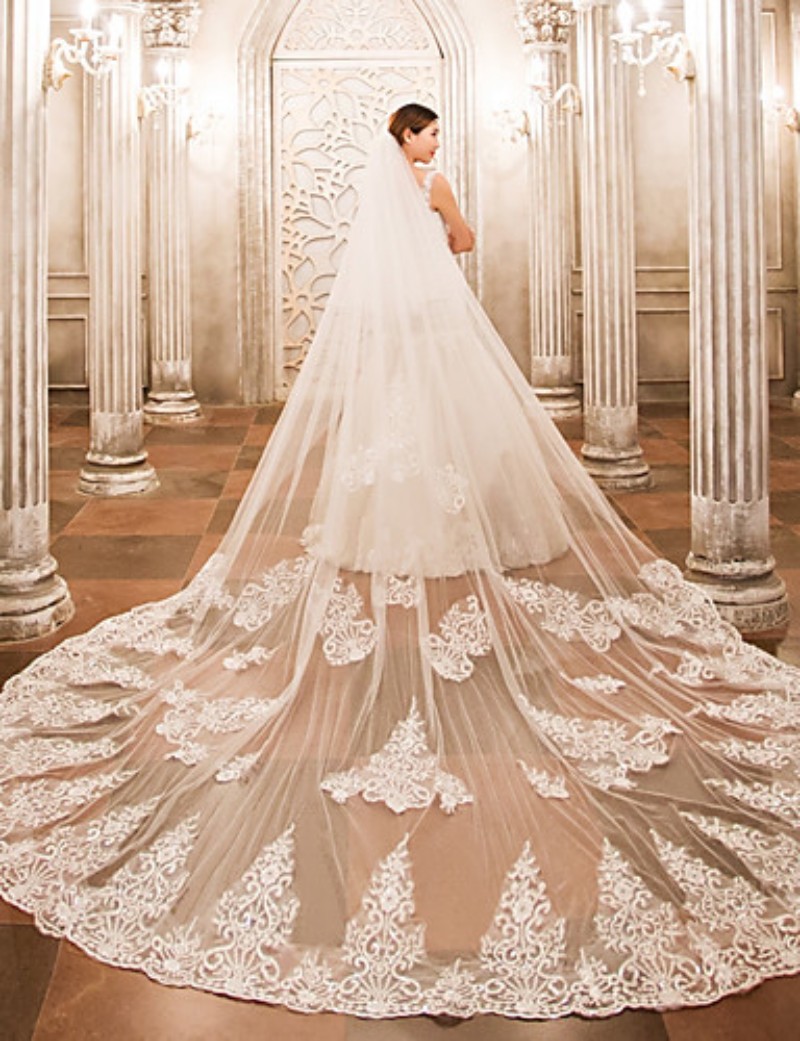 2019 Designed Wedding Veils Customized Length 3/4/5 Meters Bridal Veils Lace Cut Edge Appliqued One Layers Bridal Veil With Combs