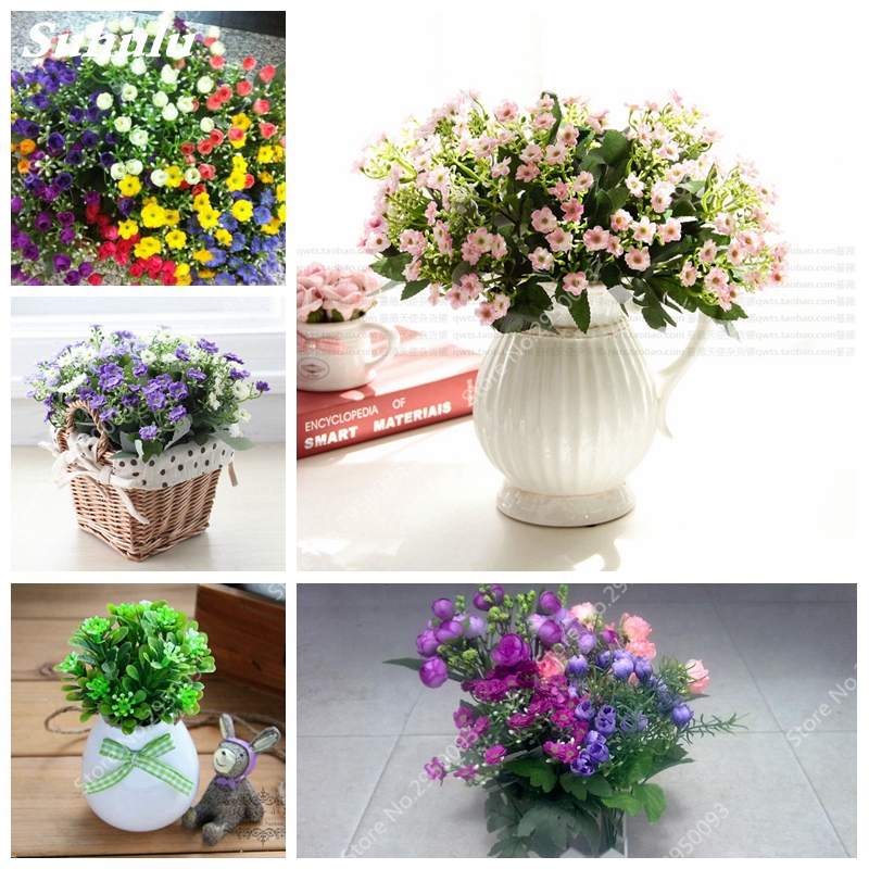 200 pcs/ bag Exotic Bonsai plant seeds Milan Flower Outdoor Blooming Temperate Perennial Garden Potted Orchid Ornamental Plant Easy to Grow
200 pcs/ bag Exotic Bonsai plant seeds Milan Flower Outdoor Blooming Temperate Perennial Garden Potted Orchid Ornamental Plant Easy to Grow