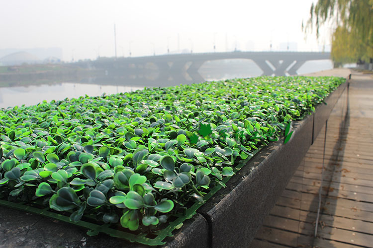 Artificial plastic boxwood mat 25cmX25cm synthetic hedges fake foliage grass mat for home garden fence decorations, Green color
Artificial plastic boxwood mat 25cmX25cm synthetic hedges fake foliage grass mat for home garden fence decorations, Green color