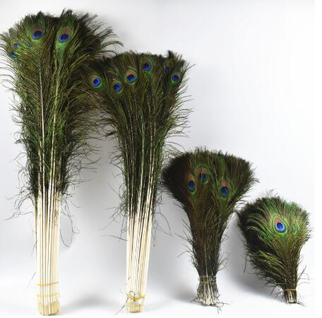 Party Decoration Natural Real Peacock Feathers For Crafts 25-80cm dress is with Home Hotel decor room vase