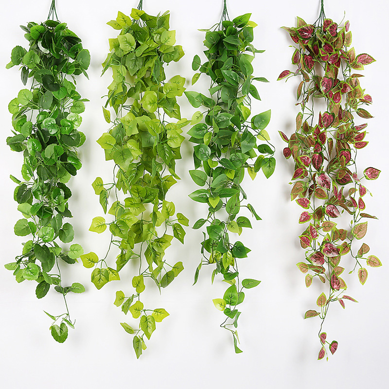 1 M Artificial Flowers Green Leaf Plants Ivy Vine Fake Foliage Flowers For Home Decor Plastic Artificial Flower Rattan String
1 M Artificial Flowers Green Leaf Plants Ivy Vine Fake Foliage Flowers For Home Decor Plastic Artificial Flower Rattan String