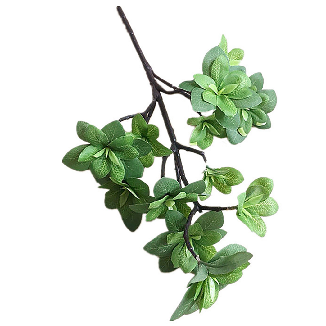 Artificial Leaf Stem DIY Simulation Of Artificial Plastic Stem Leaves Rose Stem/Silk/Wedding Decoration Holding A Rose Flower, Green
Artificial Leaf Stem DIY Simulation Of Artificial Plastic Stem Leaves Rose Stem/Silk/Wedding Decoration Holding A Rose Flower, Green