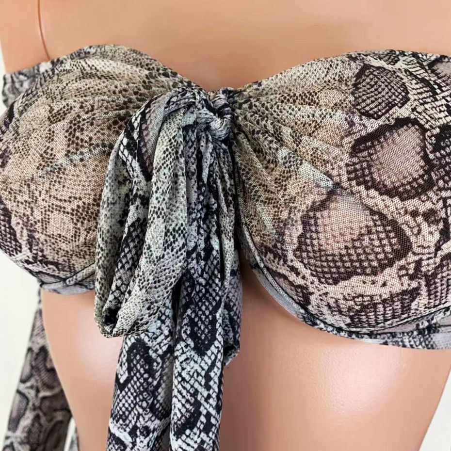 HAOYUAN Sexy Snake Print Sheer Mesh Two Piece Set Women Fall Festival Long Sleeve Crop Top and Flare Pant 2 Piece Club Outfits