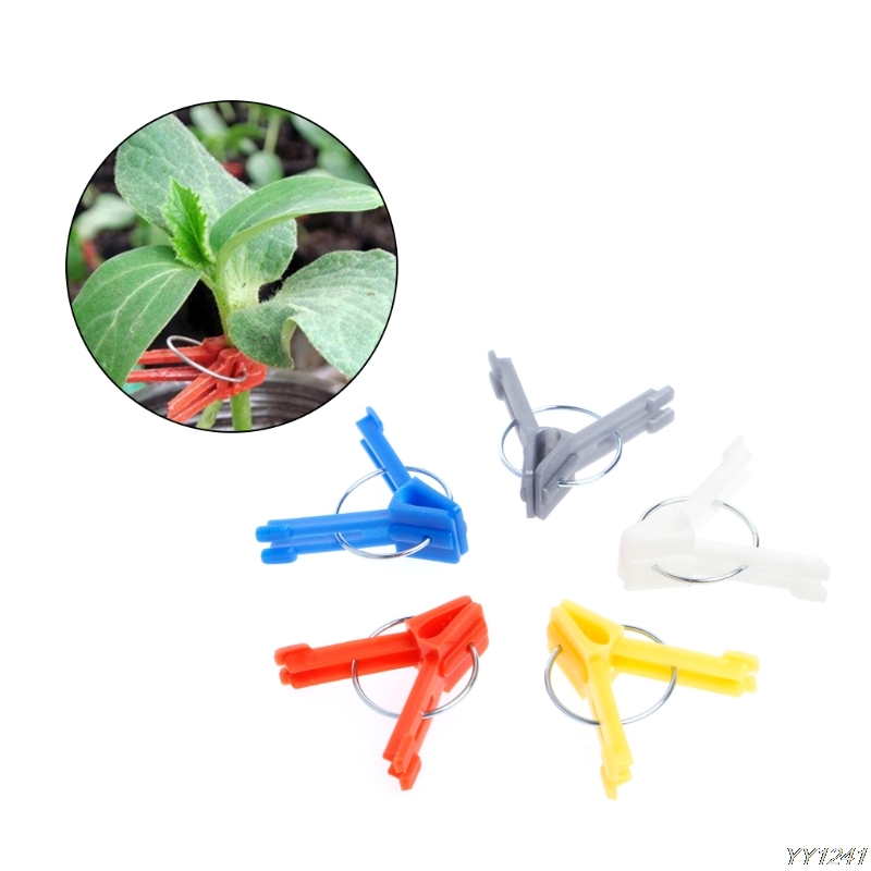 100Pcs Durable Plastic Grafting Clips Garden Vegetable Flower Tomato Plant Tree Vine Bushes Plants Grafting Tracking Ramdom Colo
100Pcs Durable Plastic Grafting Clips Garden Vegetable Flower Tomato Plant Tree Vine Bushes Plants Grafting Tracking Ramdom Colo