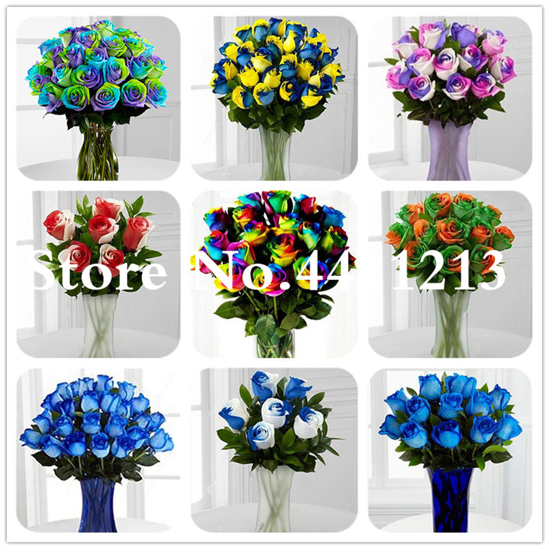 200 Pcs/bag Chinese Rainbow Rose Flower Rose Bonsai plant seeds Tree Plant Chinese Roses Mix Colors Give Lover Plant Home Garden Easy Grow
200 Pcs/bag Chinese Rainbow Rose Flower Rose Bonsai plant seeds Tree Plant Chinese Roses Mix Colors Give Lover Plant Home Garden Easy Grow