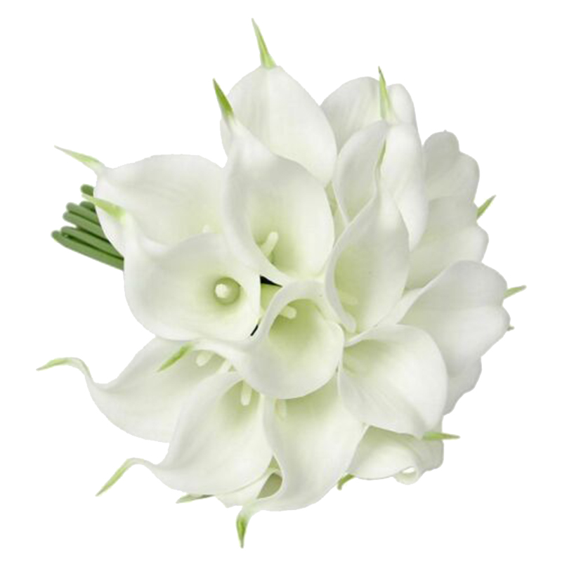 8X Artificial Calla Lily Bridal Wedding Bouquet Real Contact Flower Wedding Decor, Black
8X Artificial Calla Lily Bridal Wedding Bouquet Real Contact Flower Wedding Decor, Black