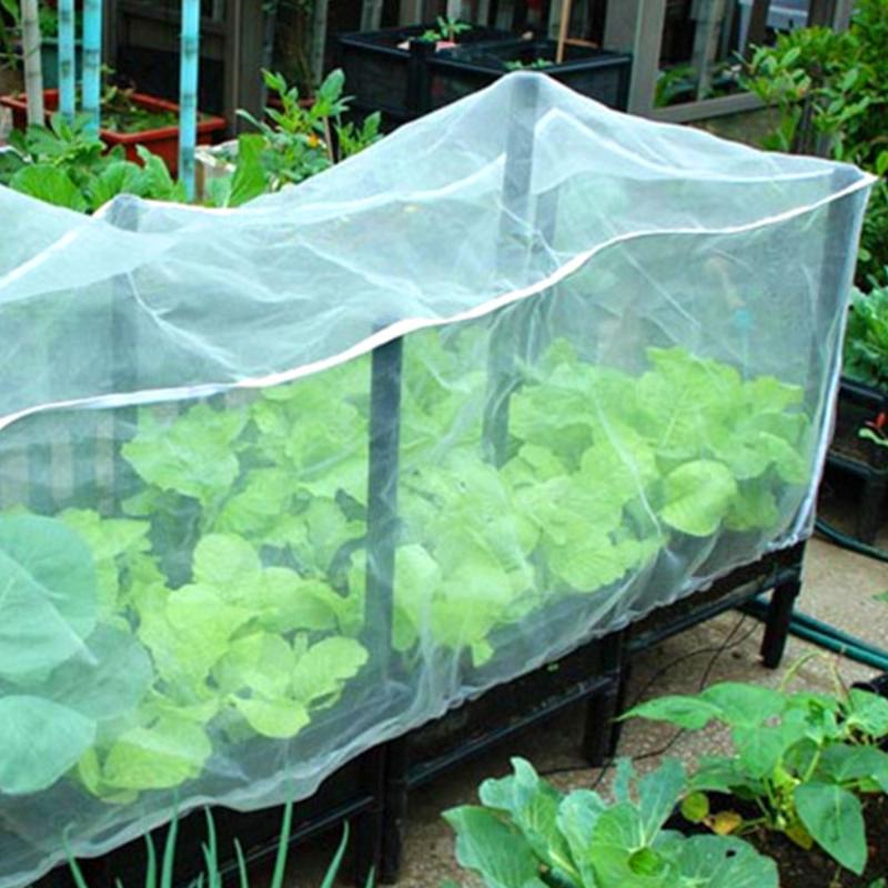 2m*6m Anti-bird Net Outdoor Farm Vegetables Fruit Protective Netting Garden Mesh Flower Plants Insect Bird Pest Control Net, A1
2m*6m Anti-bird Net Outdoor Farm Vegetables Fruit Protective Netting Garden Mesh Flower Plants Insect Bird Pest Control Net, A1