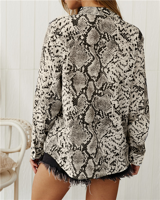 2020 Sexy Womens Leopard Blouse Holiday Long Sleeve Tops 2019 New Autumn Deep V-Neck Leopard Print Beach Ladies Blouse Shirts S-XL