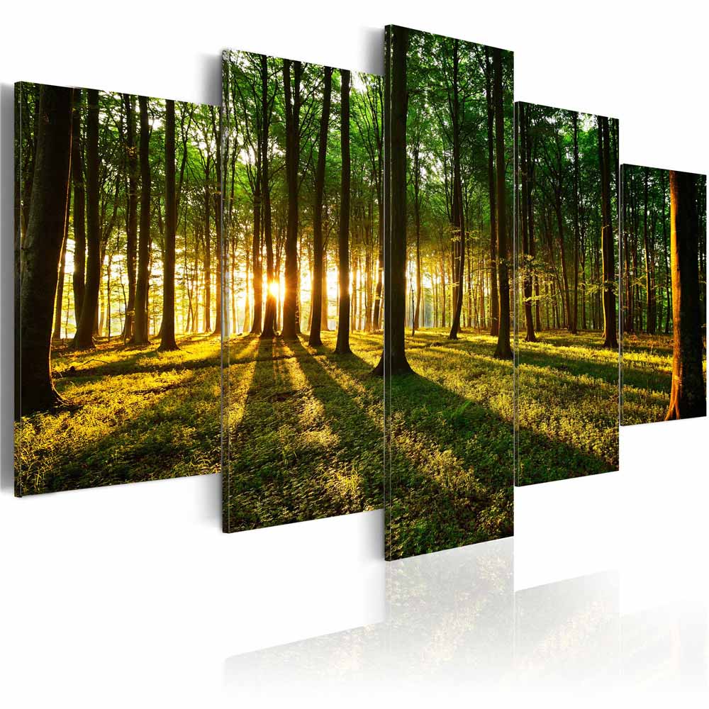 5 Panels Beautiful Spring Tree and Forest Modern Creative Nature Landscape Photography Picture Wall Art Picture Modern Home Decor Living Roo