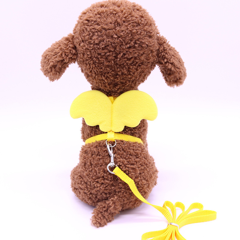 New Leashes Designer Small Dogs Cats Angel Wings Leash 2020 Puppy Dog Apparel Pet Collars Harnesses Cheap