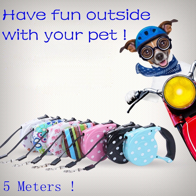 Durable Dog Leash Automatic Retractable Pet Leashes Large Dog Lead Extending Walking Leads Traction Rope Belt
Durable Dog Leash Automatic Retractable Pet Leashes Large Dog Lead Extending Walking Leads Traction Rope Belt
