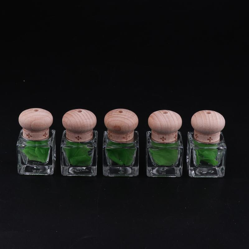 5 Pieces Refillable Air Fragrance Container Perfume Glass Bottle with Wooden Cover for Car Bathroom Decoration
5 Pieces Refillable Air Fragrance Container Perfume Glass Bottle with Wooden Cover for Car Bathroom Decoration