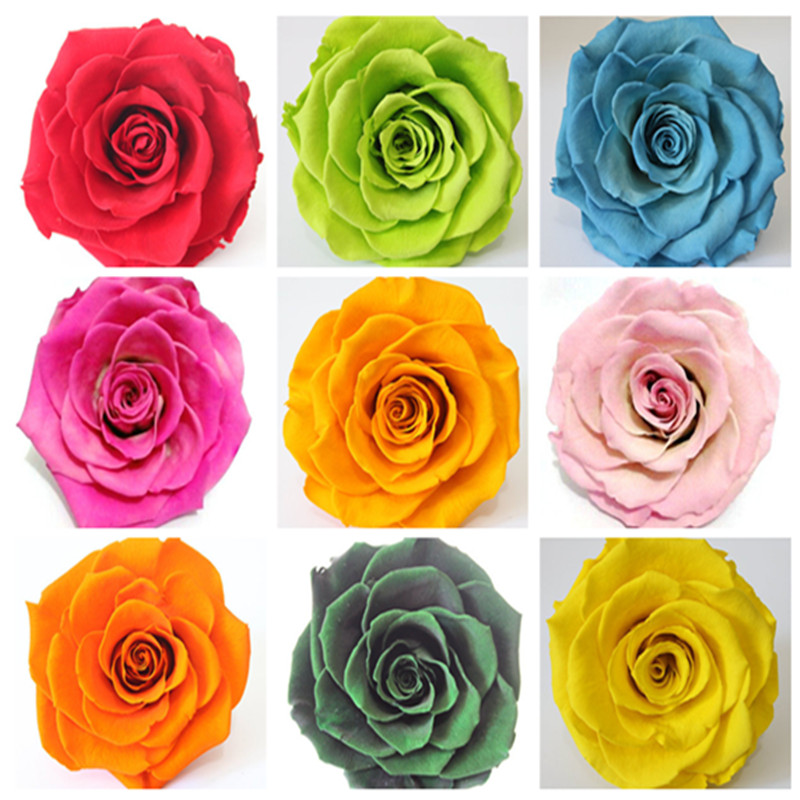 Exotic Rainbow Rose Plants Mixed Colors Rosa Planta Outdoor Bonsai Potted Flower Balcony Plants for Home Garden Decor 200pcs Seeds
Exotic Rainbow Rose Plants Mixed Colors Rosa Planta Outdoor Bonsai Potted Flower Balcony Plants for Home Garden Decor 200pcs Seeds