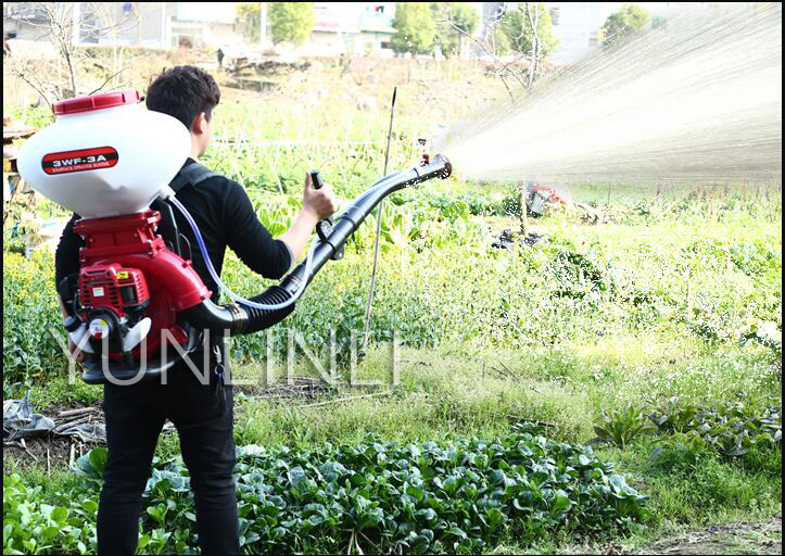 Engine Sprayer Agricultural Gasoline Engine Sprayer Fight Spray Pellets Dry Machine
Engine Sprayer Agricultural Gasoline Engine Sprayer Fight Spray Pellets Dry Machine