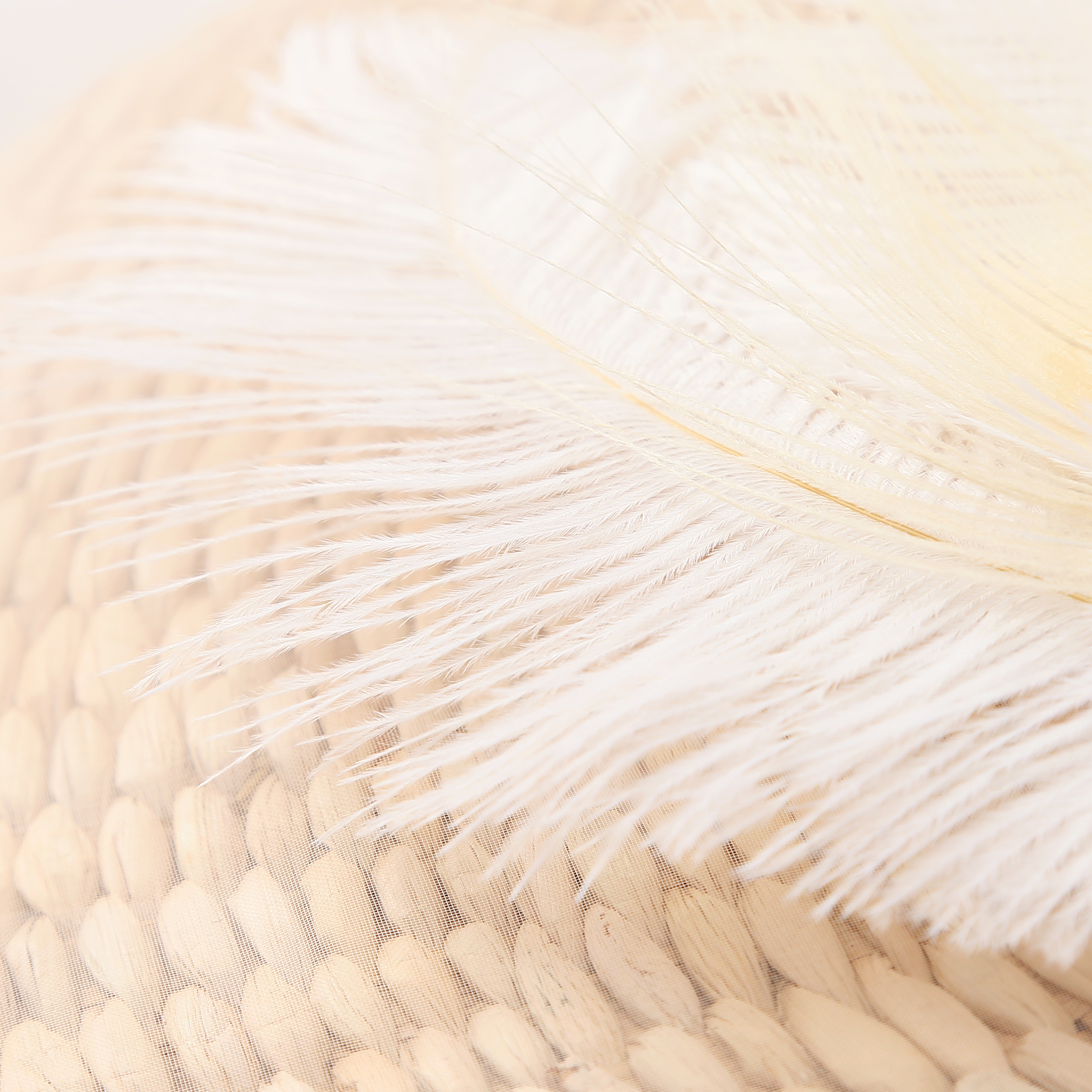 Gatsby Bridal Feather Headband Indian Bohemian Headgear Headdress Women Girls Children