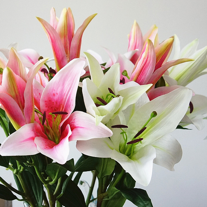2 Heads Artificial Lily Flowers Branch Wedding Party Festival Decor for House Home Garden Decoration Fake Flowers silk flores, White
2 Heads Artificial Lily Flowers Branch Wedding Party Festival Decor for House Home Garden Decoration Fake Flowers silk flores, White