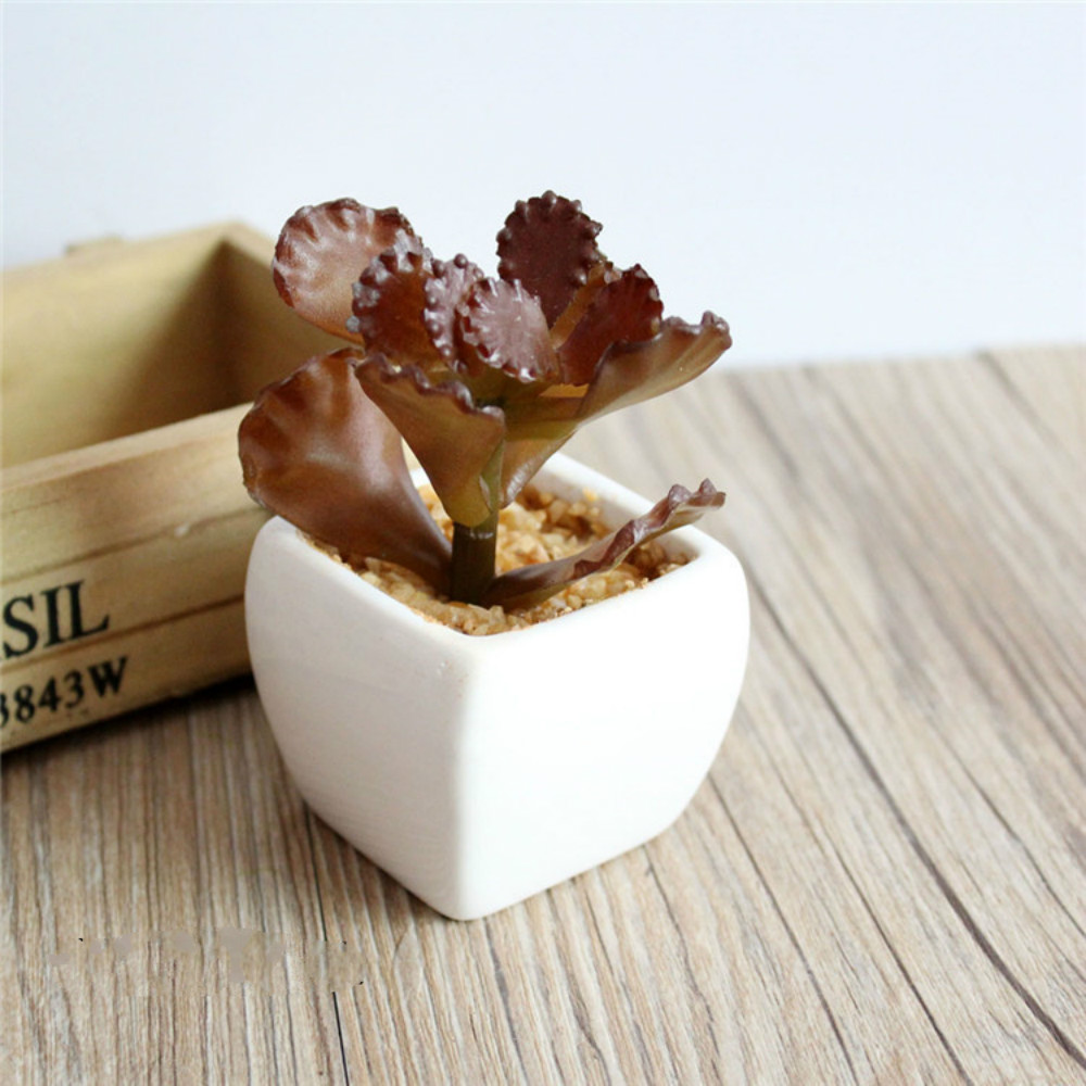 F PVC Mini Artificial Succulent Plants Bonsai (including Basin) Gardenery Plant Artificial Red Fake Flower Grass Desktop Decor, Red prickly pear
F PVC Mini Artificial Succulent Plants Bonsai (including Basin) Gardenery Plant Artificial Red Fake Flower Grass Desktop Decor, Red prickly pear