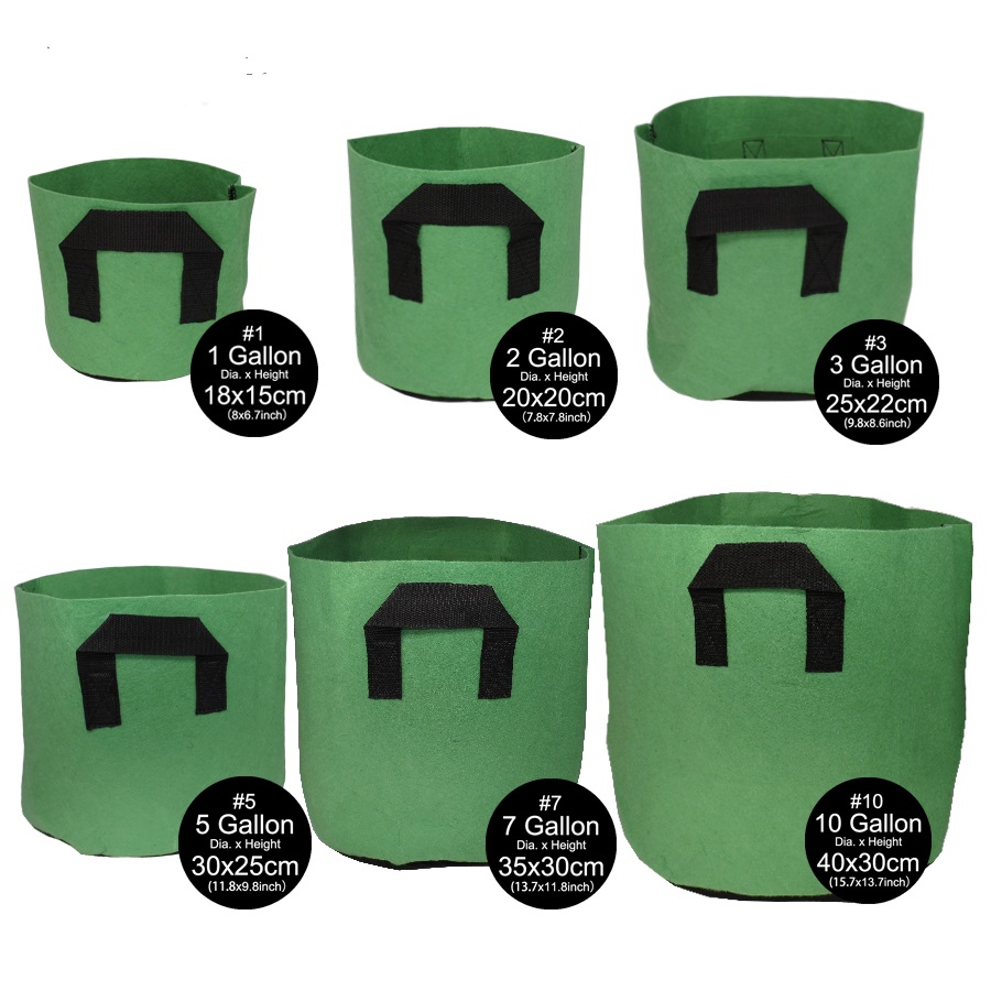 1-10 Gallon Green Heavy Duty Thickened Nonwoven Grow Bags with Handles Root Pouch Durable Reusable Planting Growing Bag Garden pots
1-10 Gallon Green Heavy Duty Thickened Nonwoven Grow Bags with Handles Root Pouch Durable Reusable Planting Growing Bag Garden pots