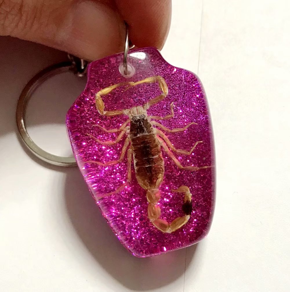 FREE SHIPPING Discount Sale Creative 50 pcs Scorpion Taxidermy Vase N 2 Design Jewelry Keychain, Black
FREE SHIPPING Discount Sale Creative 50 pcs Scorpion Taxidermy Vase N 2 Design Jewelry Keychain, Black