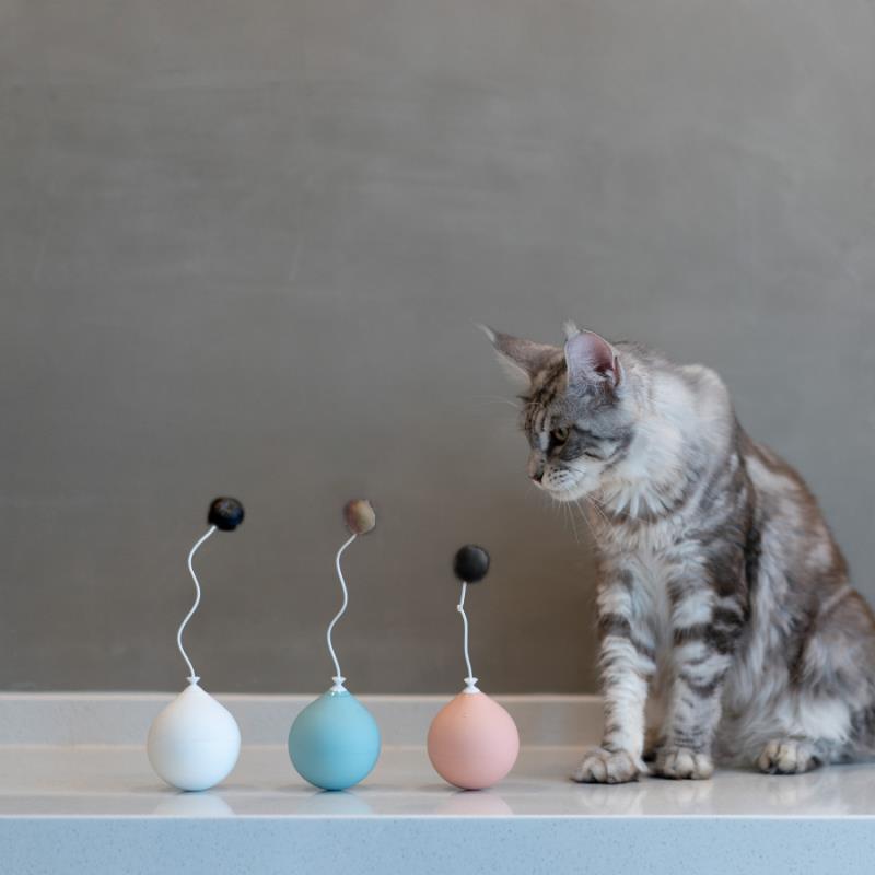 Funny Electric Cat Toy Tumbler Automatic Funny Cat Stick Toys Interactive Pet Dog Machine Toy Game Scratching Butterfly Ball
Funny Electric Cat Toy Tumbler Automatic Funny Cat Stick Toys Interactive Pet Dog Machine Toy Game Scratching Butterfly Ball