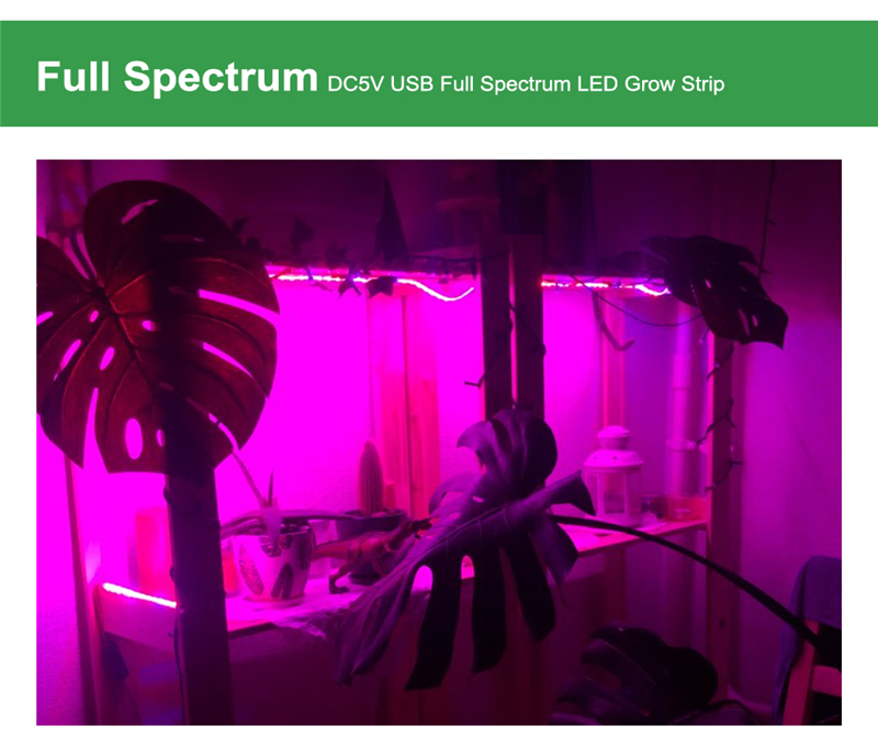 LED Grow Light Full Spectrum Plant Grow Strip Light USB 5V 2835 SMD Flexible Lamp for Indoor Plant Flower Seedling