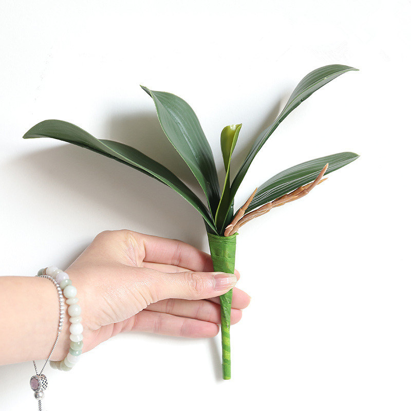 Real touch orchid artificial plant phalaenopsis leaf PU fake plant decorative flower material auxiliary leaves home garden decor
Real touch orchid artificial plant phalaenopsis leaf PU fake plant decorative flower material auxiliary leaves home garden decor