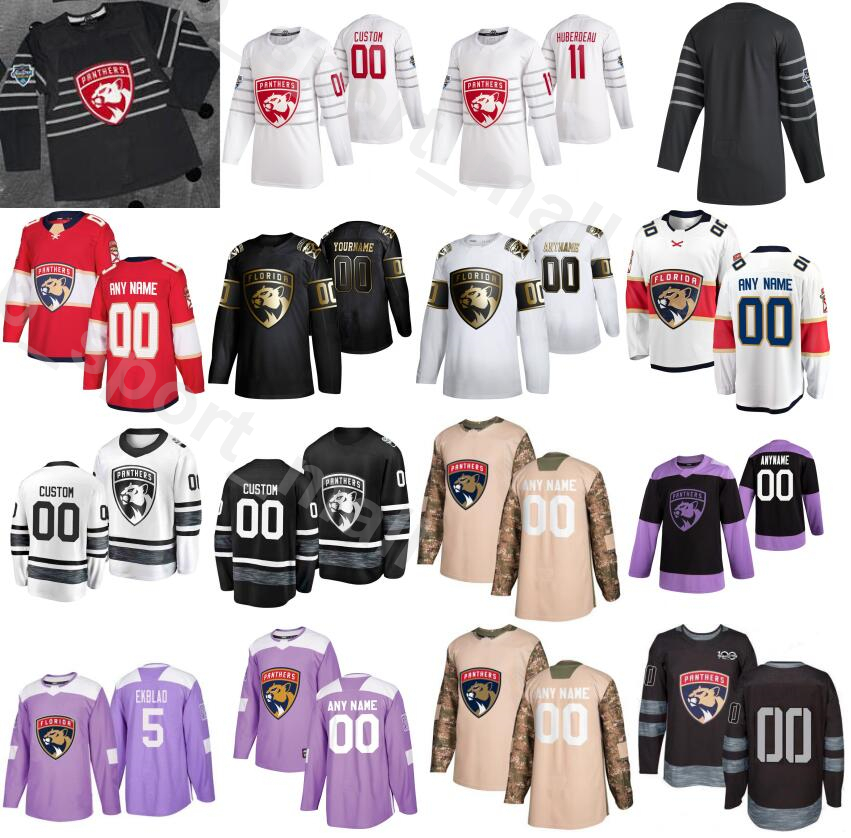 Florida Panthers 20… - image