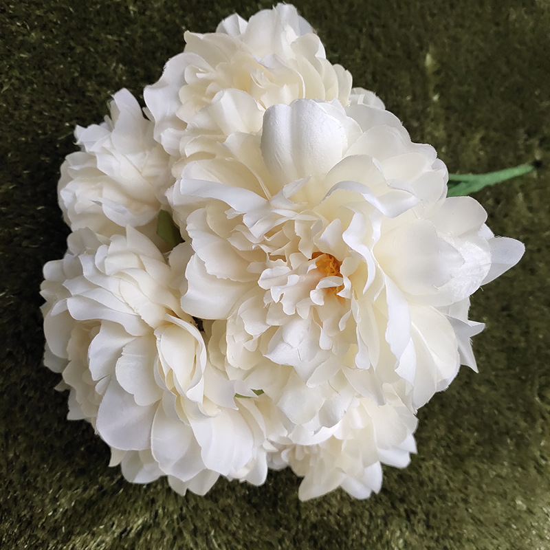 1PC 5 Heads Big Peony Artifcial Silk Flowers Wedding Bouquet Decorative White Peony Home Display Fake Flower, Orange
1PC 5 Heads Big Peony Artifcial Silk Flowers Wedding Bouquet Decorative White Peony Home Display Fake Flower, Orange