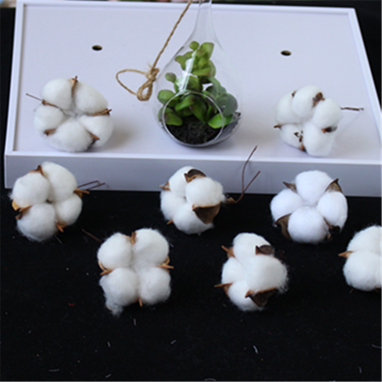 10Pcs/Pack artificial flower single branch simulation flower DIY wedding decoration for home party office, As pic
10Pcs/Pack artificial flower single branch simulation flower DIY wedding decoration for home party office, As pic