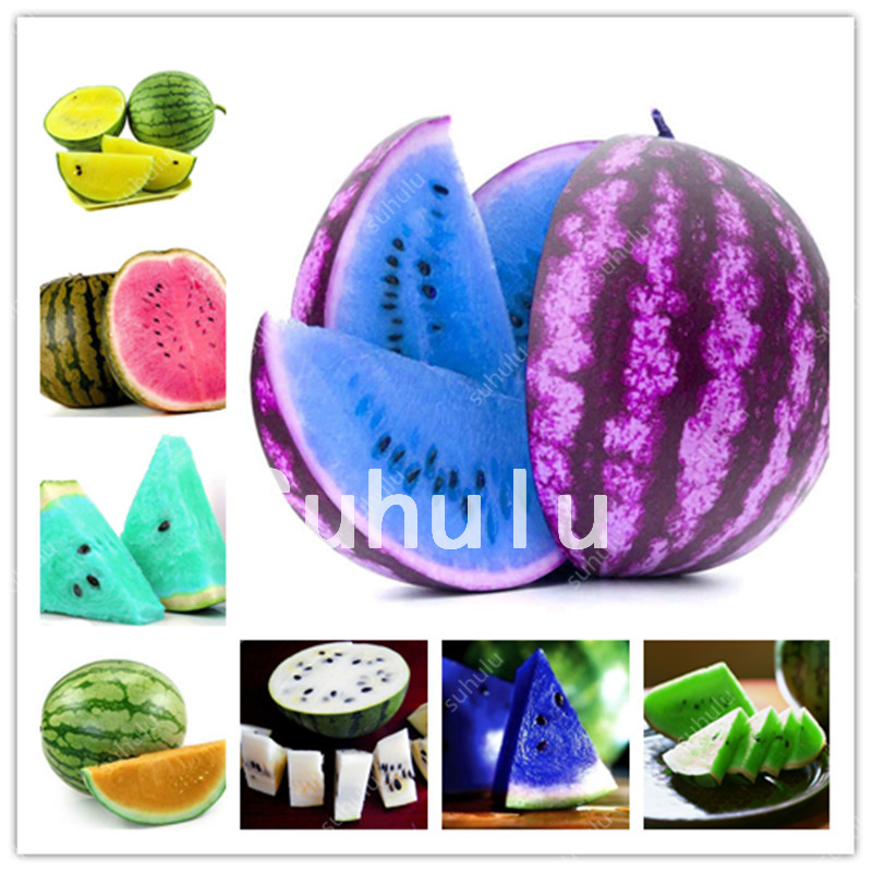 100 Pcs Melon Plants Mixed Watermelon Bonsai Sweet Fruit New Arrival Garden bonsai Plant seeds dropshipping wholesale
100 Pcs Melon Plants Mixed Watermelon Bonsai Sweet Fruit New Arrival Garden bonsai Plant seeds dropshipping wholesale