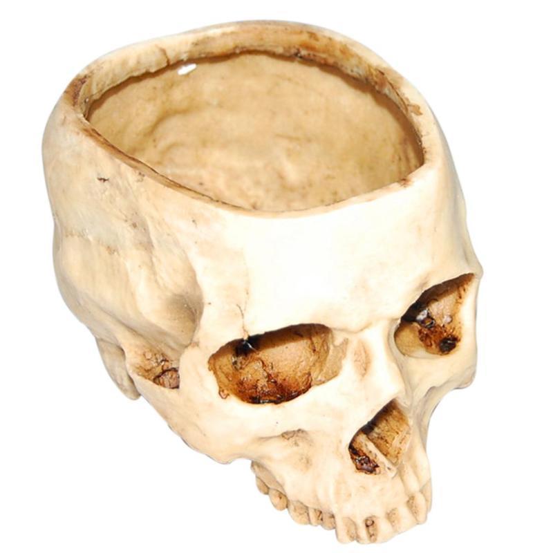 Resin Human Skull Model Flower Pot Shining Fruit Plate Storage Container Home Table Decoration Halloween Supplies
Resin Human Skull Model Flower Pot Shining Fruit Plate Storage Container Home Table Decoration Halloween Supplies