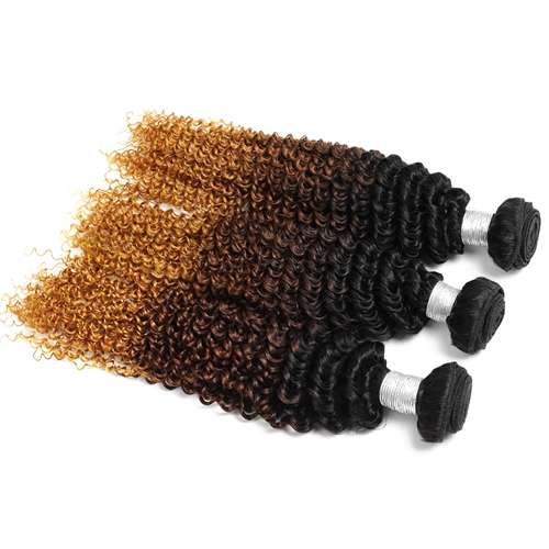 Ombre Human Hair Bundles with Closure Brazilian Hair Kinky Curly 1b/4/30 Human Weave Bundles 3Bundles 3Tone Non Remy Hair Extensions