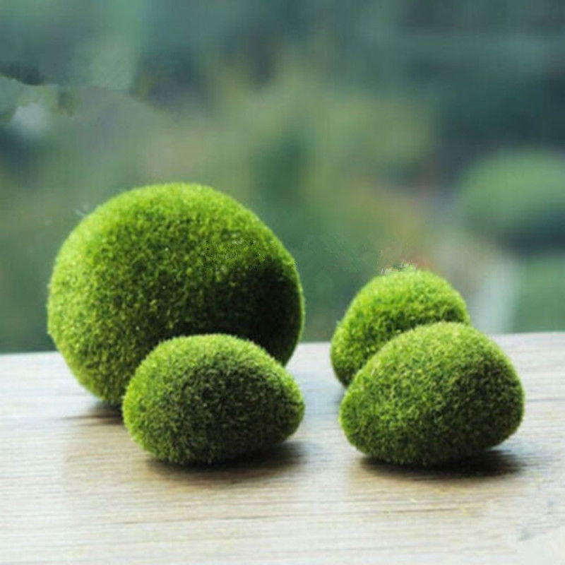 1pcs Small Size Artificial Fake Moss Lawn Mossy Stone Model Micro Landscape Fairy Garden Miniature Artificial Plants Decoration, As pic
1pcs Small Size Artificial Fake Moss Lawn Mossy Stone Model Micro Landscape Fairy Garden Miniature Artificial Plants Decoration, As pic