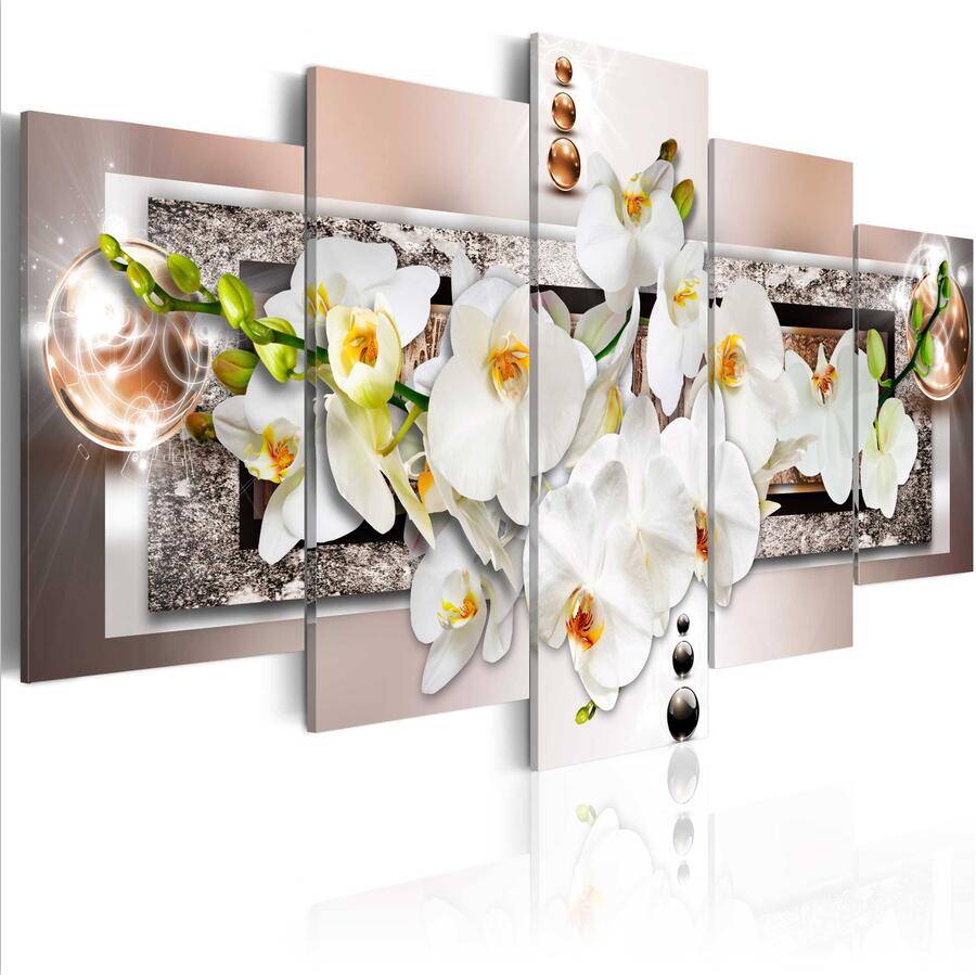 5pcs/set Unframed Brown Pearl Orchid HD Print On Canvas Wall Art Picture For Home and Living Room Decor