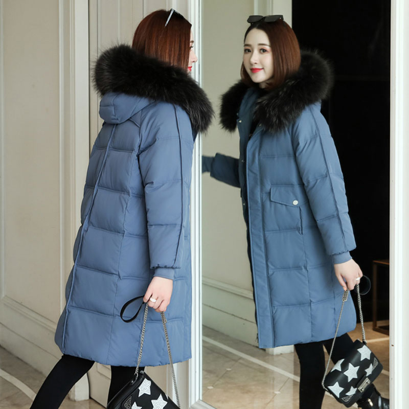 Wholesale cotton coat women's mid-length new loose feather down jacket in winter thick thick fur collar coat, Blue
Wholesale cotton coat women's mid-length new loose feather down jacket in winter thick thick fur collar coat, Blue