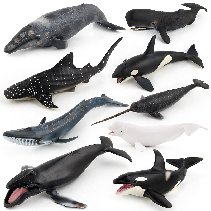 Whale Model Toy, 9 Solid Model Marine Animals, Big Size High Simulation, for Kid Cognitive Teaching, Kid Gift, Ornament Orcinus Orca Shark Whale Humpback Pottwal Grampus
Whale Model Toy, 9 Solid Model Marine Animals, Big Size High Simulation, for Kid Cognitive Teaching, Kid Gift, Ornament Orcinus Orca Shark Whale Humpback Pottwal Grampus