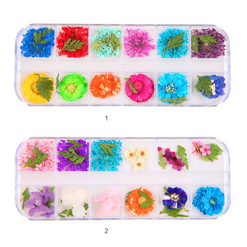 12 Pcs/box Dried Flowers Epoxy Sheet UV Decoration Resin Silicone Mold DIY Jewelry Filler Beauty Nail Accessory G6KE
12 Pcs/box Dried Flowers Epoxy Sheet UV Decoration Resin Silicone Mold DIY Jewelry Filler Beauty Nail Accessory G6KE