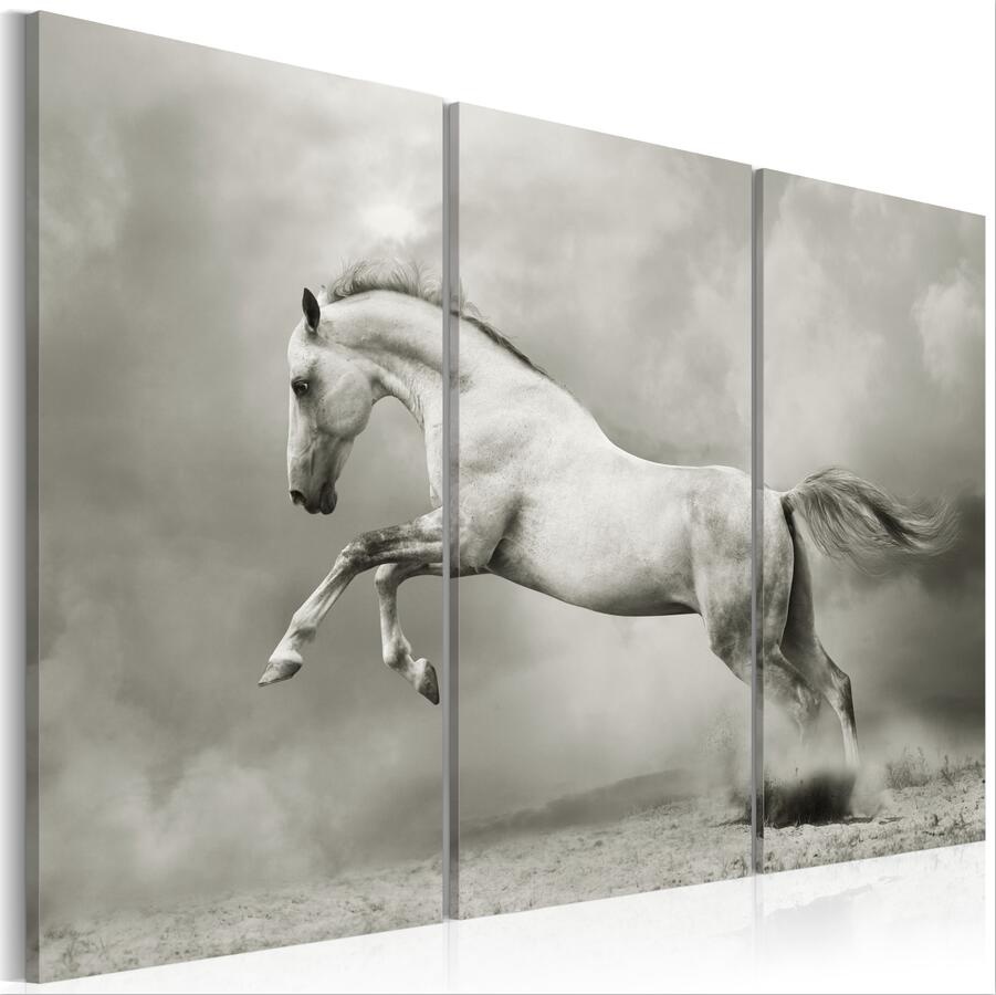 ( No Frame ) Canvas Print Modern Abstract White Horse Jump Poster Home Wall Decor Painting Canvas Printing Art HD Print Painting