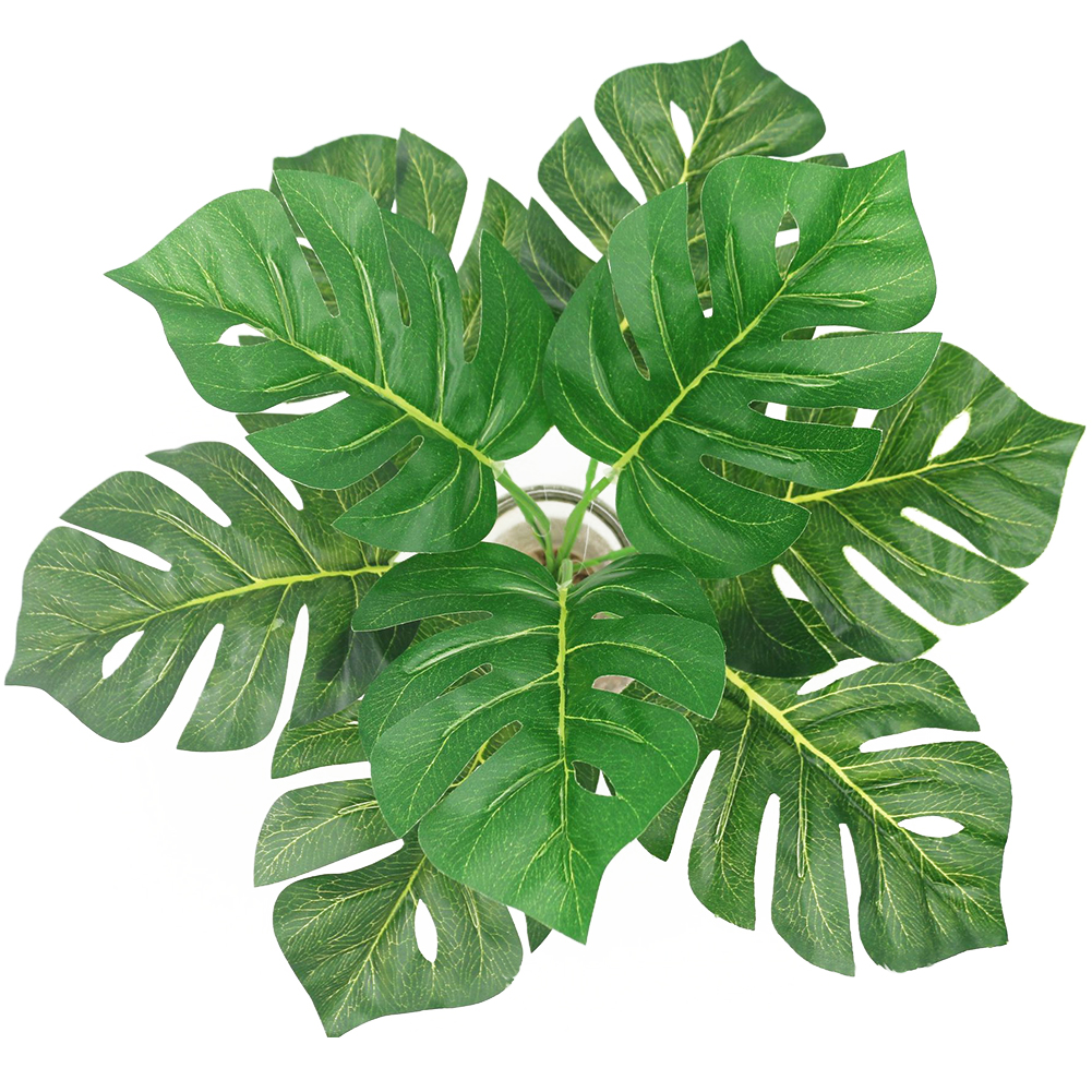 Plastic Simulation Supplies Handcraft Artificial Leaves Fake Plants Green Garden Wedding Bouquet Wall Grass Home Decoration, Turtle leaf
Plastic Simulation Supplies Handcraft Artificial Leaves Fake Plants Green Garden Wedding Bouquet Wall Grass Home Decoration, Turtle leaf