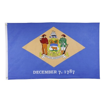Delaware State Flag 3x5FT 150x90cm Polyester Printing Indoor Outdoor Hanging Hot Selling National Flag With Brass Grommets
Delaware State Flag 3x5FT 150x90cm Polyester Printing Indoor Outdoor Hanging Hot Selling National Flag With Brass Grommets