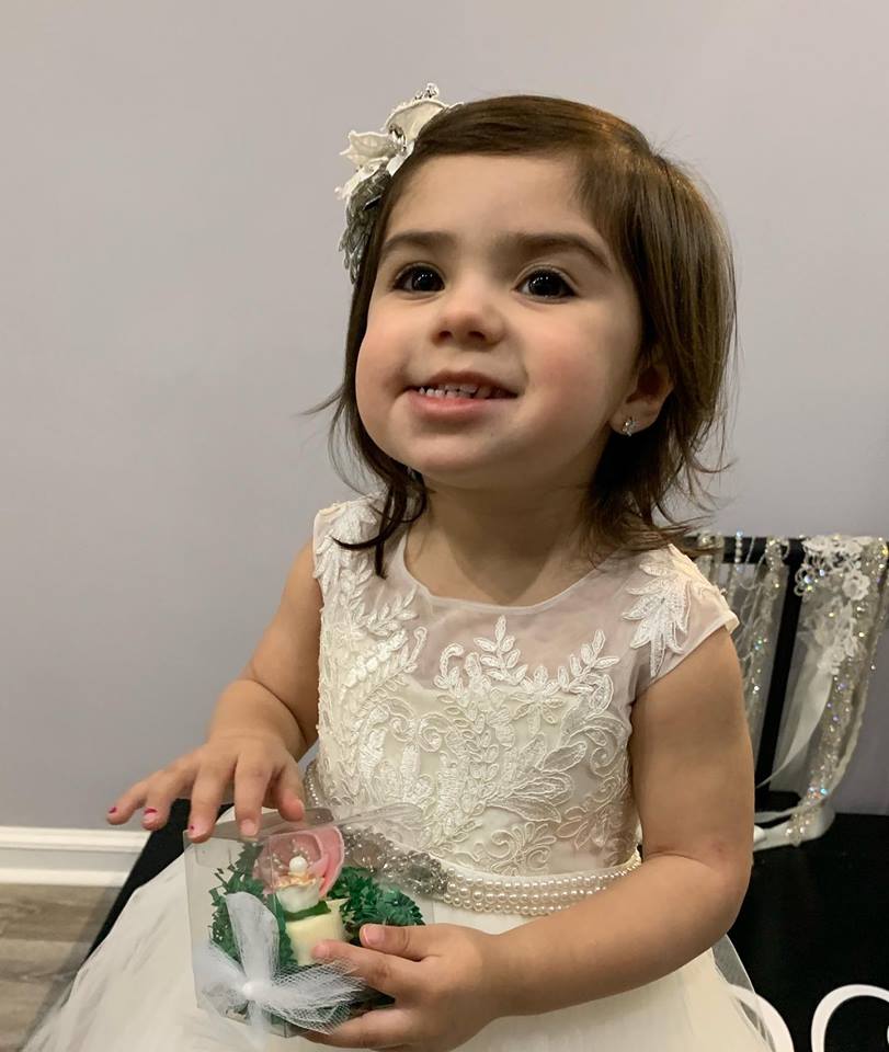 Sheer Neck Lace Flower Girl Dresses Pearls Crystals Little Girl Wedding Dresses Vintage Pageant Dresses Gowns F054