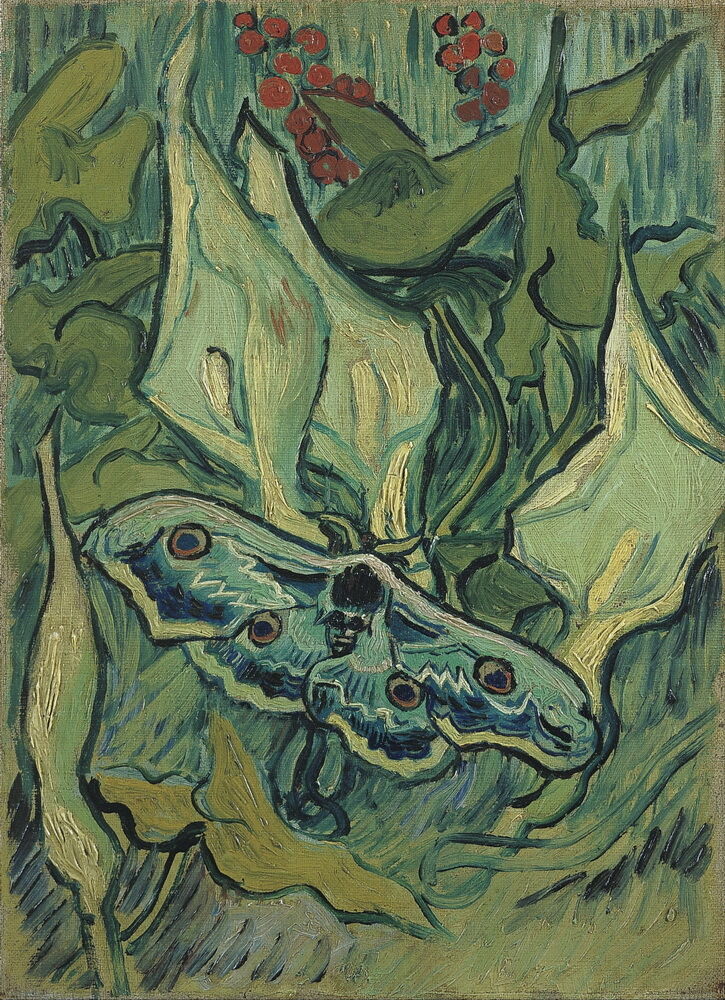 Vincent Van Gogh Emperor moth Wall Art Home Decor Handpainted &HD Print Oil painting On canvas Wall Art Canvas Pictures 190917
Vincent Van Gogh Emperor moth Wall Art Home Decor Handpainted &HD Print Oil painting On canvas Wall Art Canvas Pictures 190917