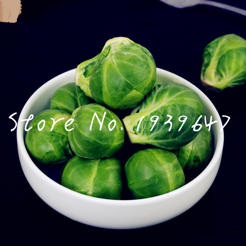 500 pcs Mini Cabbage plant seeds Mix Brussel Sprouts Bonsai Mix Long Lsland Heirloom Organic Non-GMO Vegetable Bonsai Mix For Home 
500 pcs Mini Cabbage plant seeds Mix Brussel Sprouts Bonsai Mix Long Lsland Heirloom Organic Non-GMO Vegetable Bonsai Mix For Home