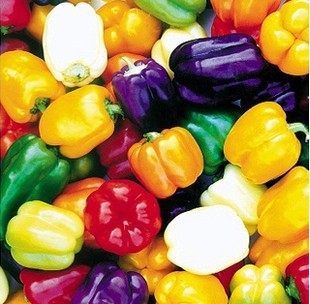 5000 pcs 6 Color mixed Yellow Puple Red Green Blue White Mix Sweet Bell Hot Pepper Bonsai plant vegetables Paprika
5000 pcs 6 Color mixed Yellow Puple Red Green Blue White Mix Sweet Bell Hot Pepper Bonsai plant vegetables Paprika