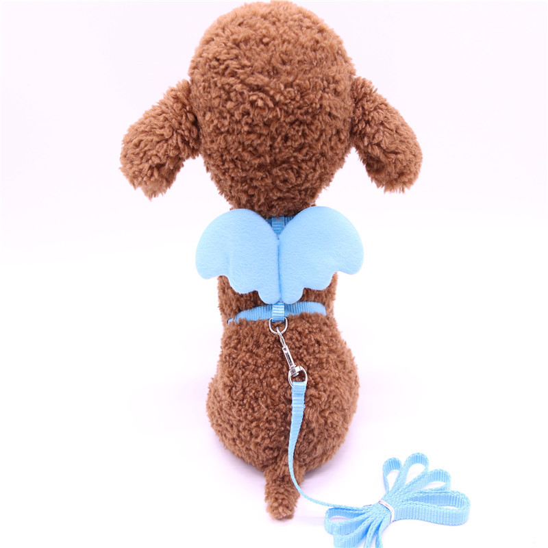 New Leashes Designer Small Dogs Cats Angel Wings Leash 2020 Puppy Dog Apparel Pet Collars Harnesses Cheap