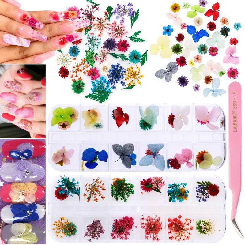 Mix Dried Flowers Nail Decorations 3D Nail Art Natural Floral Leaf Stickers Designs UV Gel Polish Manicure Tools
Mix Dried Flowers Nail Decorations 3D Nail Art Natural Floral Leaf Stickers Designs UV Gel Polish Manicure Tools