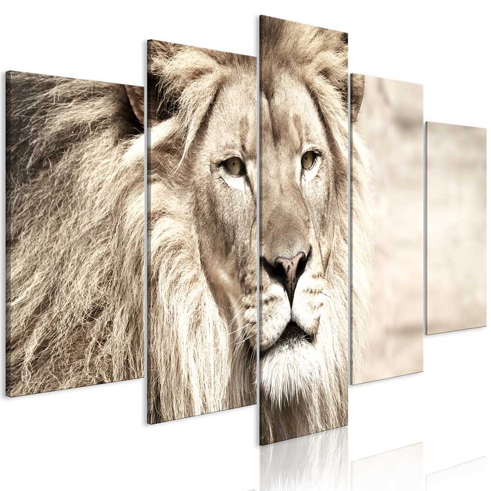 5 Panel Oil Painting Animal Lion Art Canvas Wall Art Lion King Picture Landscape Modern Living Room Decorative No Frame